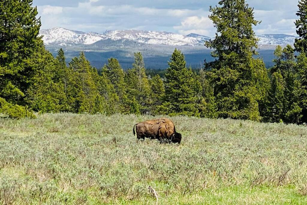 Bear Lair At Teton Valley Idaho Victor Exterior foto